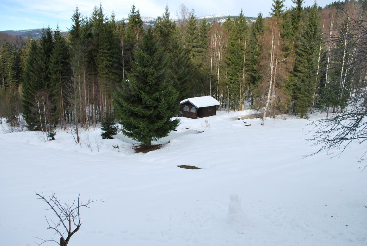 Ferienhaus "Lisa'S Haeusl" Neuschönau Εξωτερικό φωτογραφία