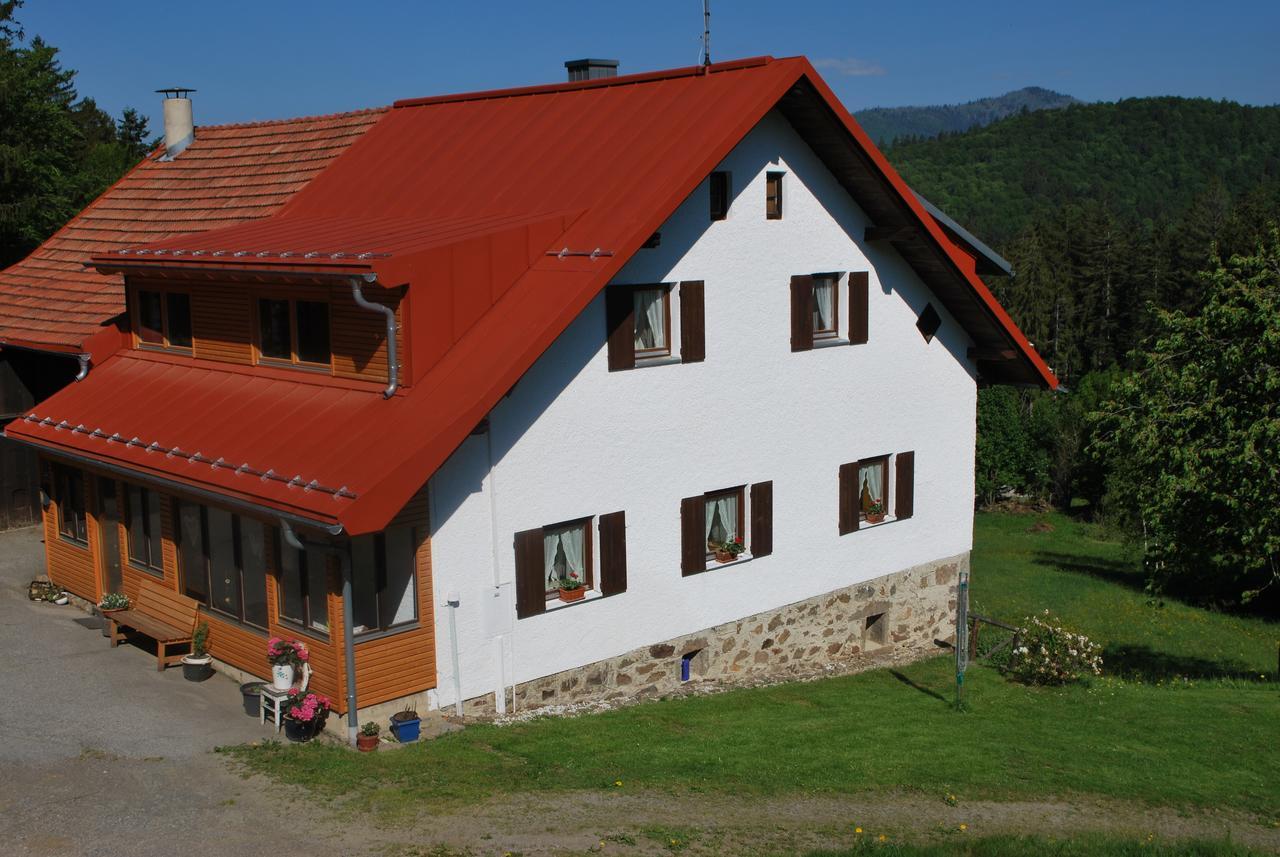 Ferienhaus "Lisa'S Haeusl" Neuschönau Εξωτερικό φωτογραφία